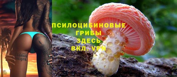 меф Осинники