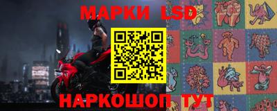 jwh Бийск