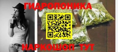jwh Бийск