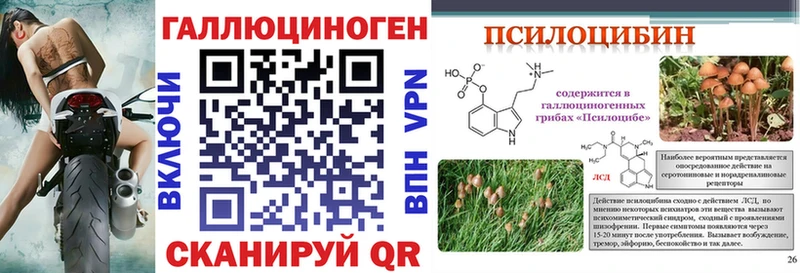 гидра как войти  Кисловодск  Галлюциногенные грибы GOLDEN TEACHER  где найти  