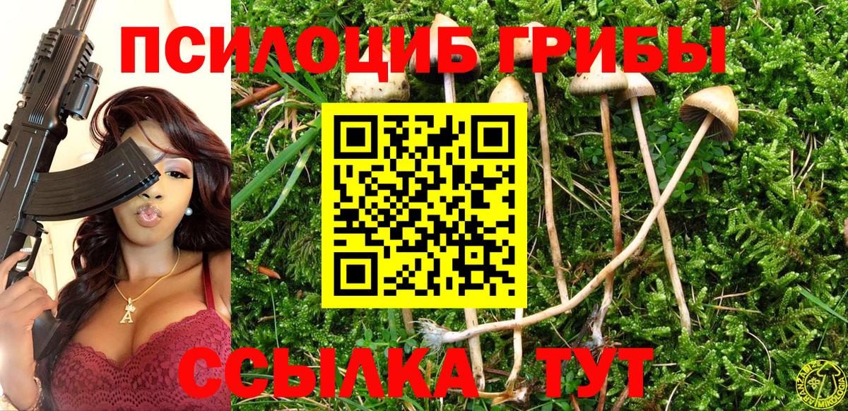 Псилоцибиновые грибы прущие грибы Кисловодск